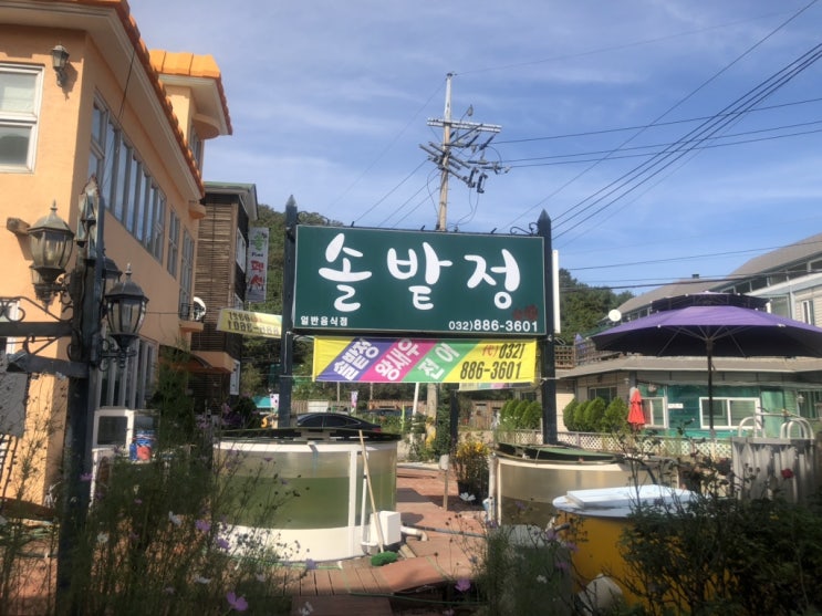  대부도 바다뷰 새우구이,전어회 맛집 솔밭정 가성비 갑 좋아요