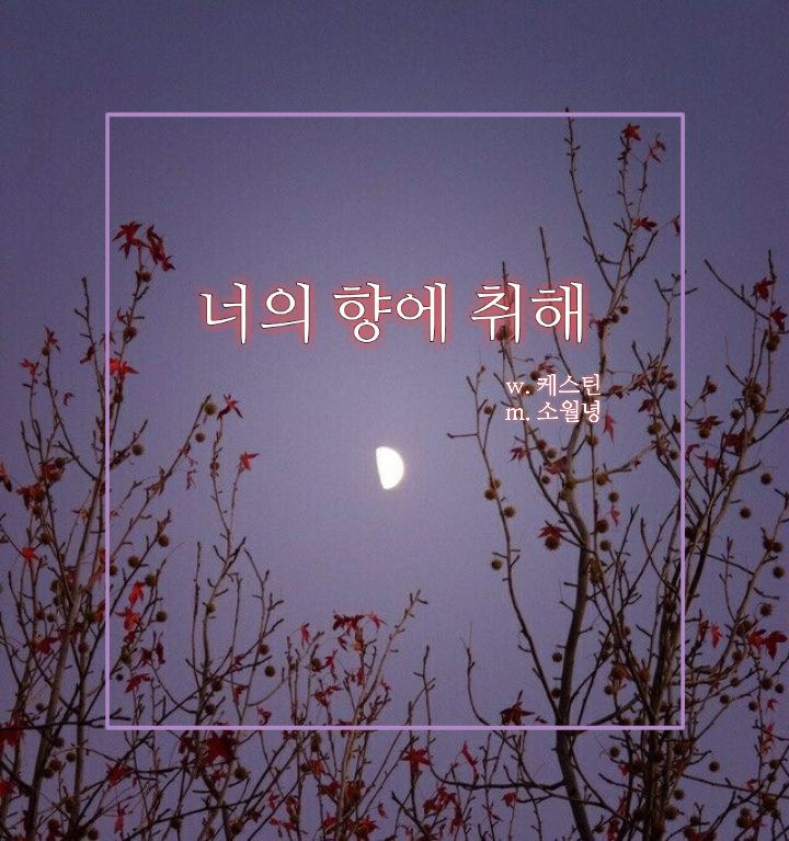  [세븐틴끼리 카톡하기] 너의 향에 취해 04.5 취향은 아니지만