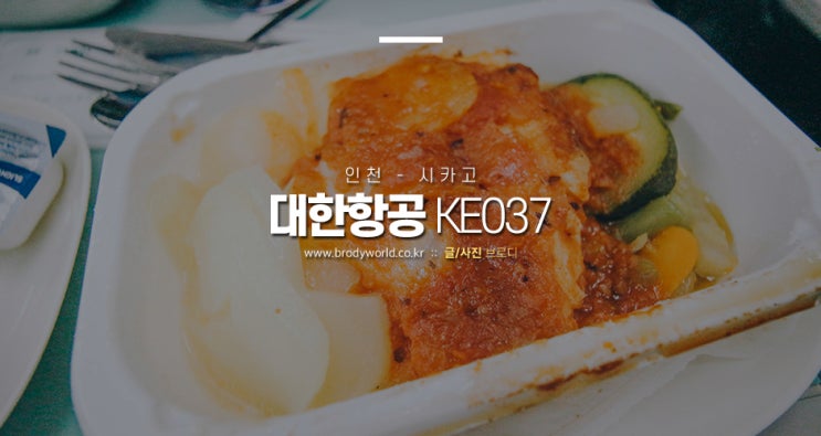  미국항공권 인천-시카고 대한항공 KE037 이코노미 솔직후기