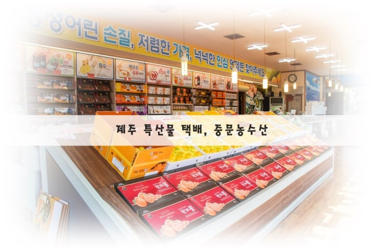  제주 특산물 황금향 옥돔 은갈치 택배 가능한 중문농수산
