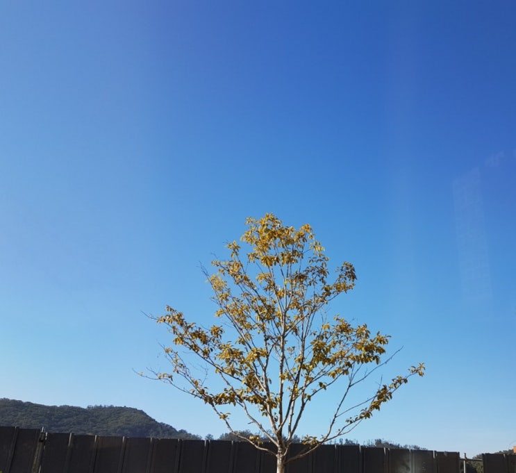  오후 산책, 하루 줄거리