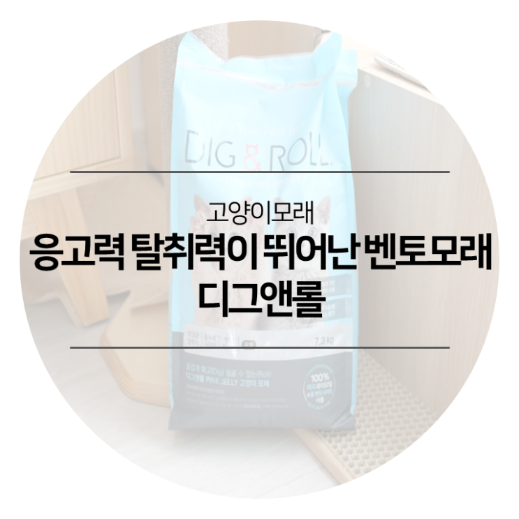  고양이모래 - 디그앤롤 벤토나이트모래 응고력과 탈취력이 뛰어난 벤토모래