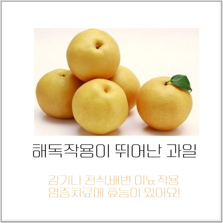  10월 가을 제철과일 뭐가 있을까요? 배 사과 포도 귤 석류 무화과 밤 단감 보관방법과 효능 칼로리 제대로 알고 먹을수 있도록 정보 공유합니다