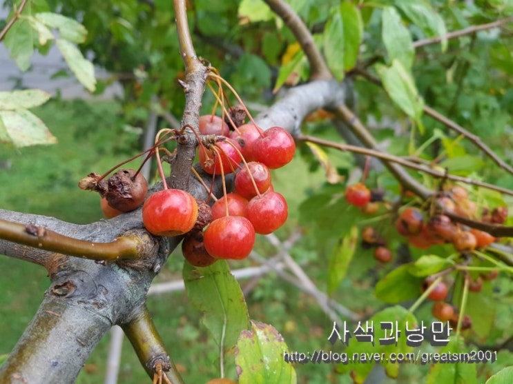  결실의 계절
