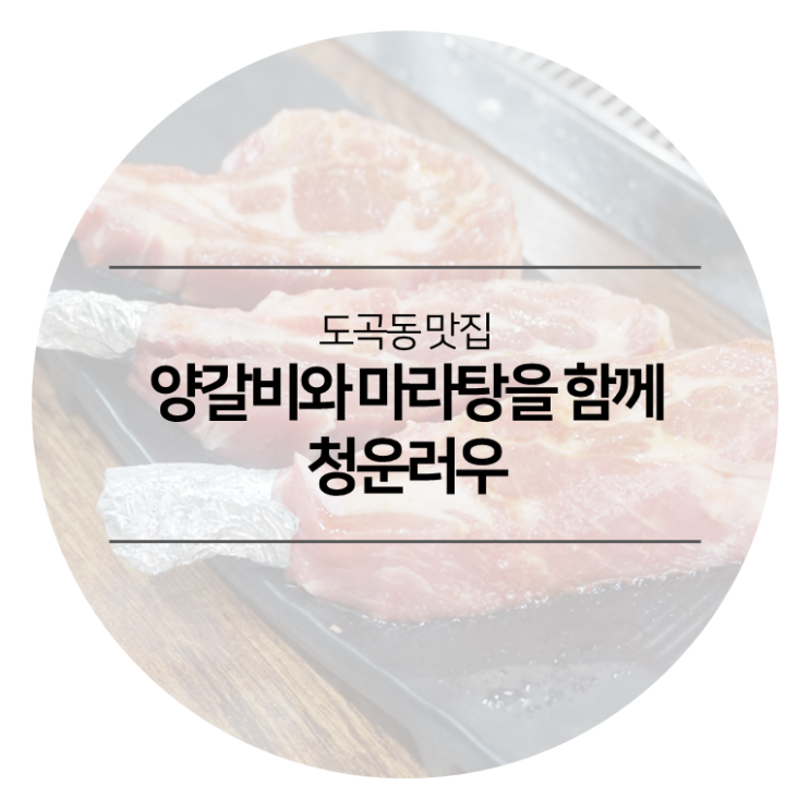  도곡동 맛집 - 청운러우 양갈비와 마라탕을 함께 즐기는 중화요리 전문 역삼역 맛집