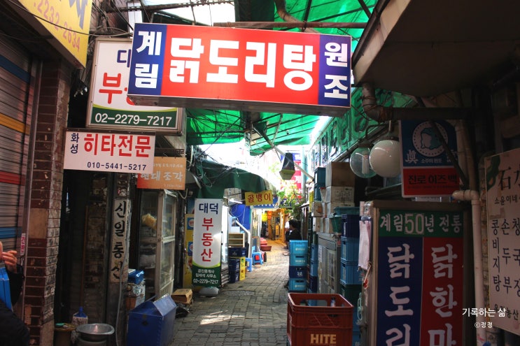  종로3가맛집 계림 :: 수요미식회 마늘폭탄 닭볶음탕