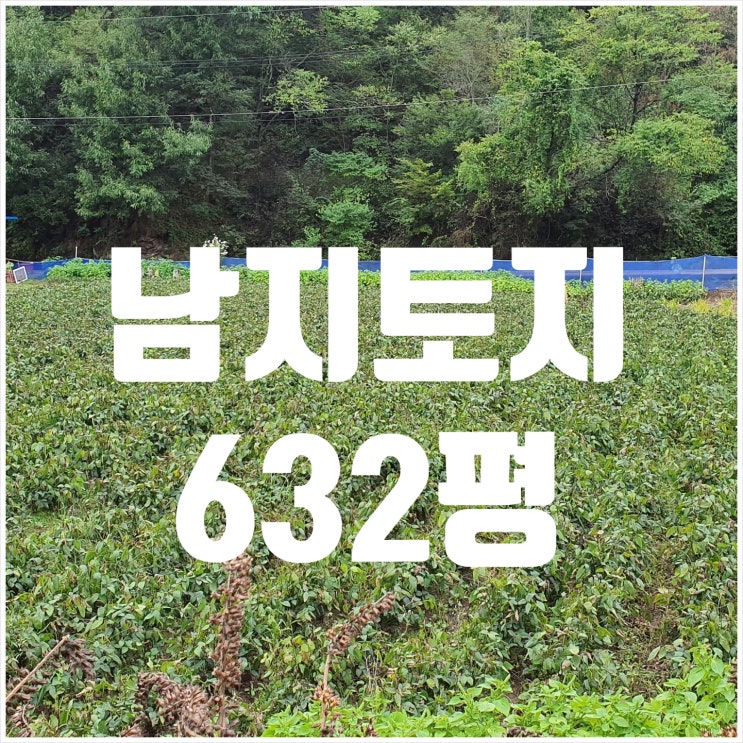  [남지토지 남지부동산] (고수 2703) 경남 창녕군 남지읍 2차선 도로접한 남지전원주택지 남지땅 632평 매매(창녕부동산 함안부동산 의령부동산 합천부동산 매물 고수부동산 땅도리)