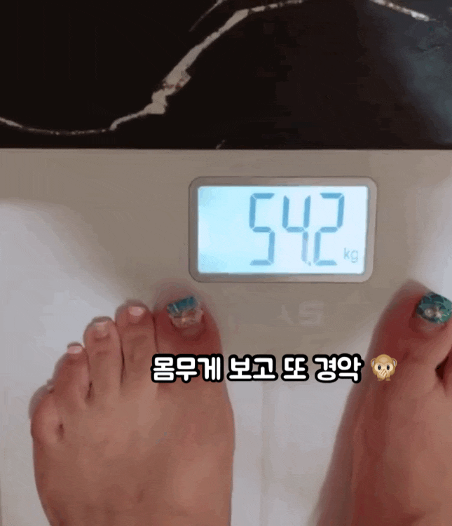  다이어트식단 발효 콩 스무디 이틀동안 먹고 클렌즈 하기