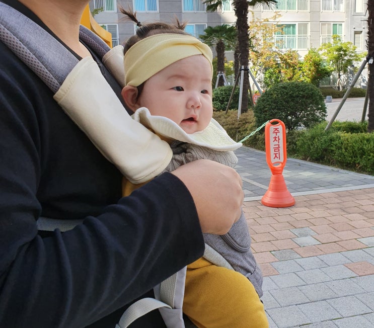  유달이와 함께한 한글날 생후+120일 일상기, 목포 구도심투어, 양을산휴양림, 삼학도공원 뿌셔