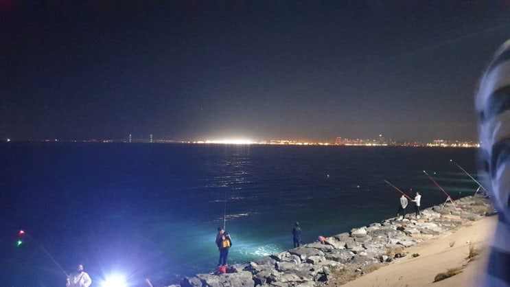  시화방조제에서 밤낚시 즐기기