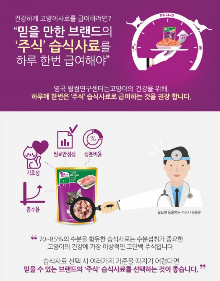  고양이 습식사료 시도