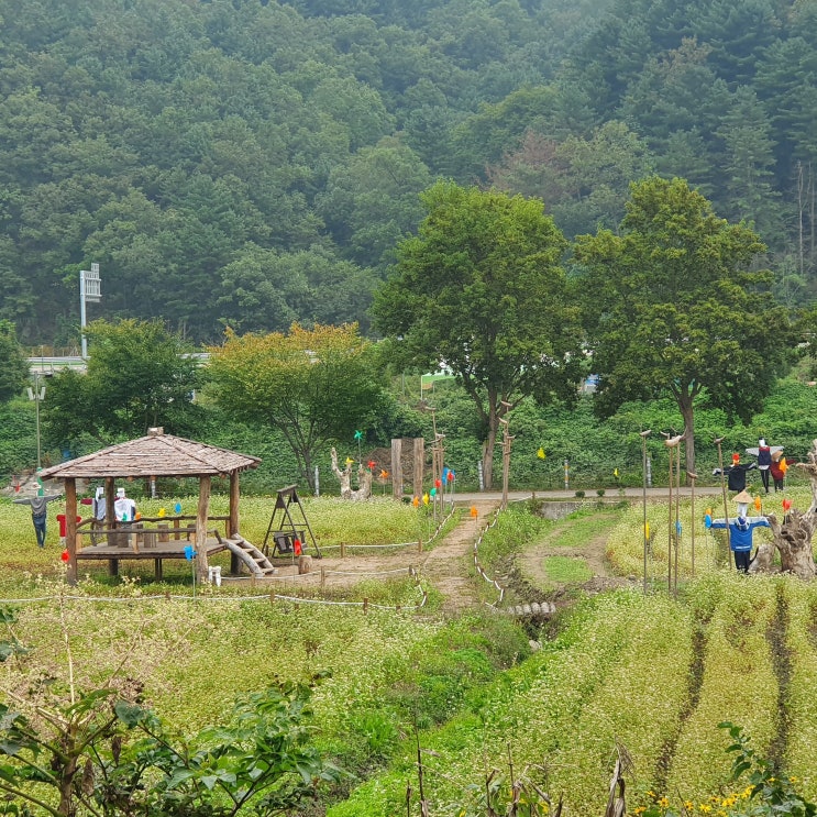 춘천리얼다이어트캠프 한주간 운동 모습