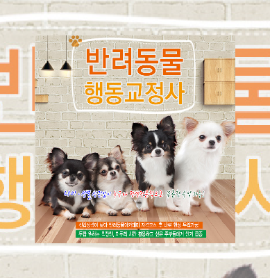  반려동물산업의 유망 직종 '반려동물행동교정사' 상담받아보세요