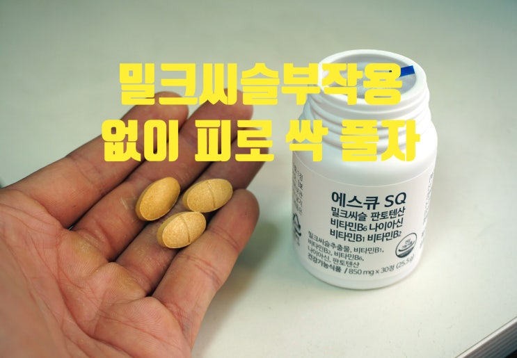  밀크씨슬부작용 없이 피로 싹 풀자!!