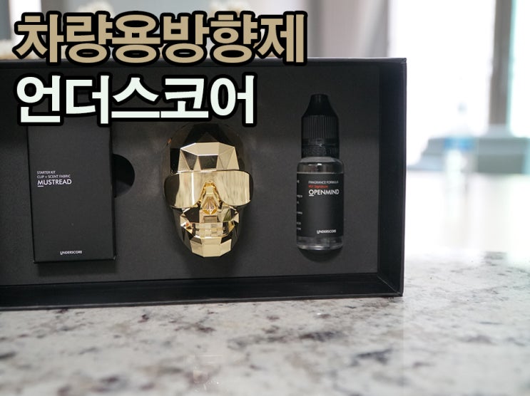  차량용방향제 추천 간지나는구만 언더스코어 해골방향제