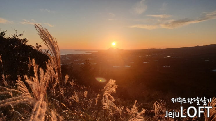  제주도 일몰 포인트 - 고근산