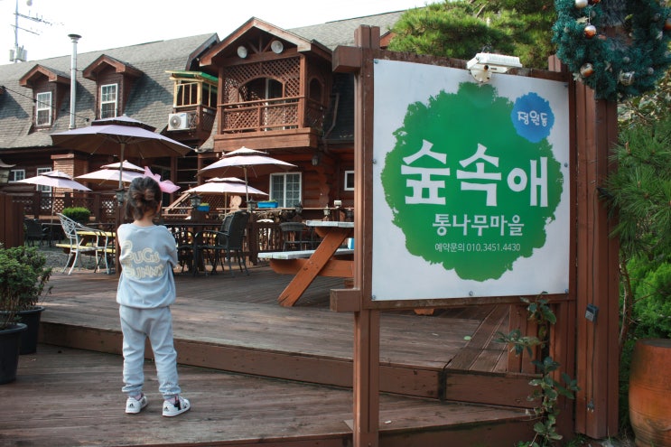  보령펜션추천, 냥이들과 바비큐 즐겼던 숲속애 통나무마을 이야기