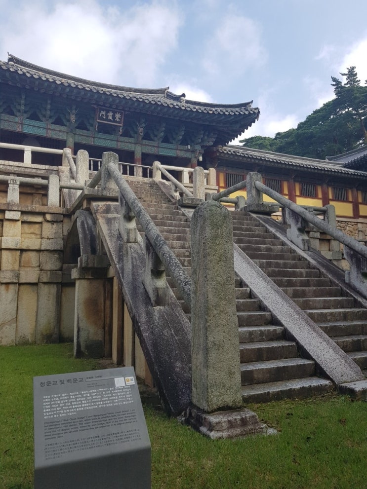  은근 야경이 예쁜 경주명소 (안압지)