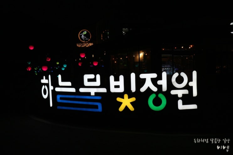  대전 근교 여행 금산 하늘물빛정원 100%만족 데이튜