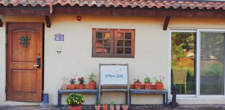  우리집이면 너무 좋을 것 같은_산책하는 고래