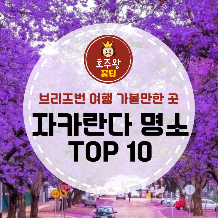  브리즈번여행 자카란다 사진명소 TOP 10
