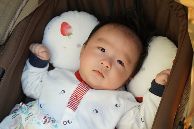  베베누보 더블라이너 :: 사계절내내 사용할 수 있는 유모차라이너