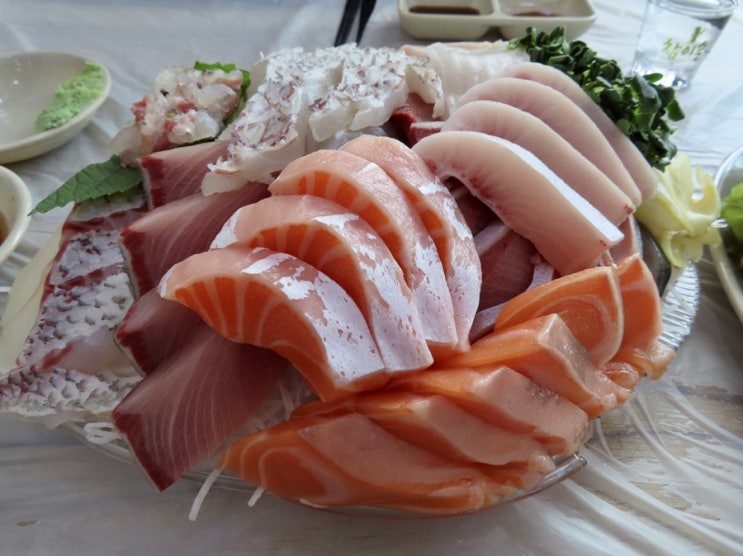  [노량진 횟집] 노량진 단골 추천 방어 모듬회 맛집 독도수산