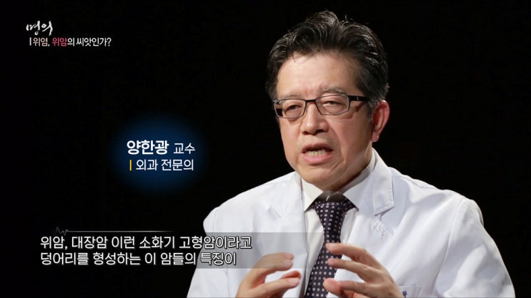 명의 양한광 교수 외과 전문의 명의 문정섭 교수 소화기내과 서울대병원 인제대 서울백병원 형광 림프관 조영술 점막하 박리술 명의 위염 위암의 씨앗인가 원인 증상 치료법 633회 10