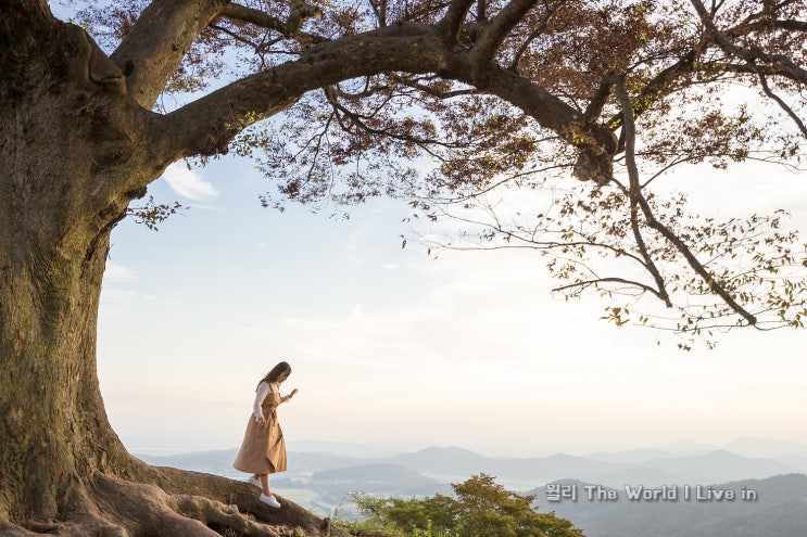  부여 갈만한곳 호텔델루나 촬영지 사랑나무가 있는 성흥산성