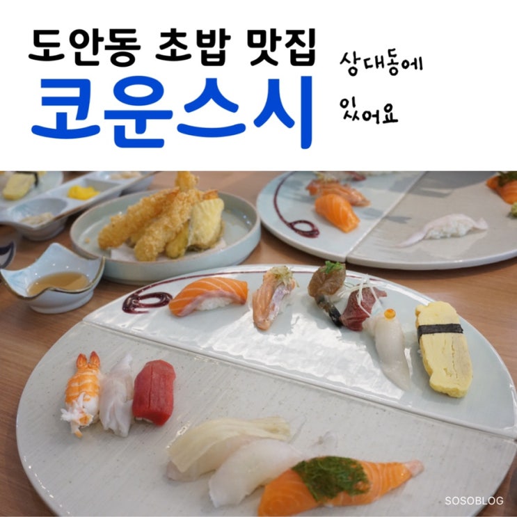  유성초밥 추천 :: 고급스러운 도안동초밥 맛집 추천! [코운스시]