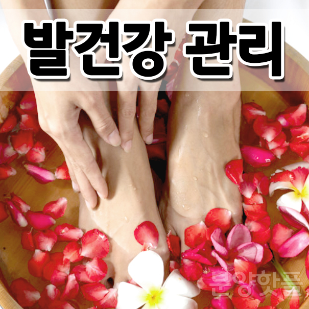  발건강 관리하는 방법_제2의 심장 발근육 강화운동
