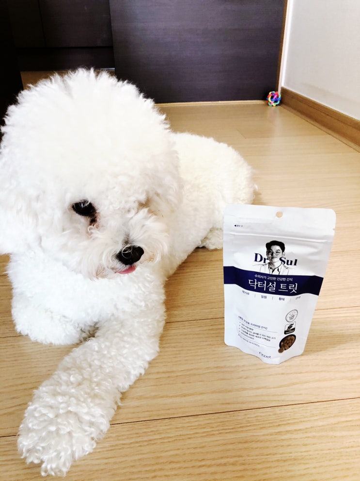  설채현 수의사가 함께 연구한 강아지간식! 핏펫 닥터설트릿