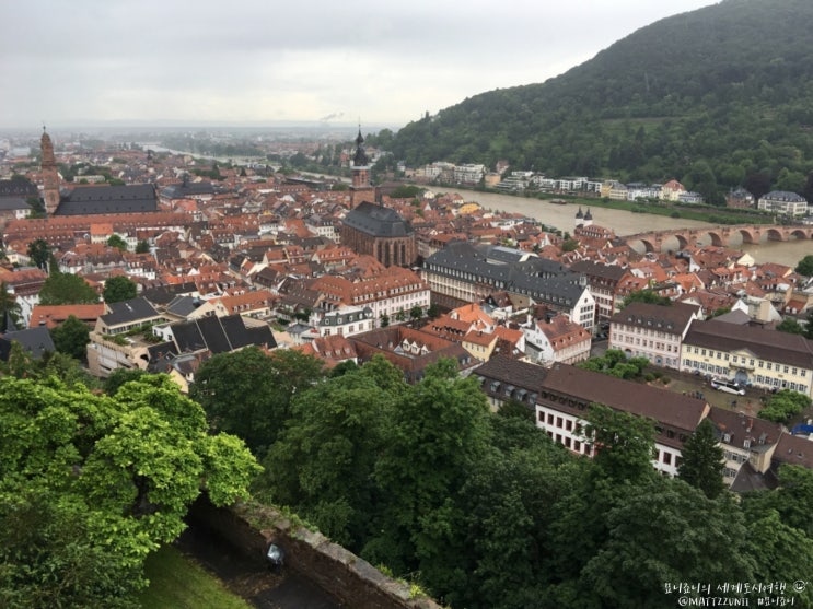  [유럽 자동차 여행] 02. 하이델베르크 성(Heidelberger Schloss, Germany)