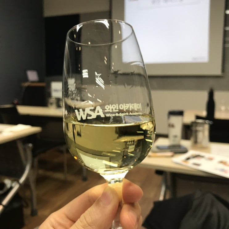  [WSET 입문] 와인 초보를 위한 WSA 와인아카데미 WSET 입문과정