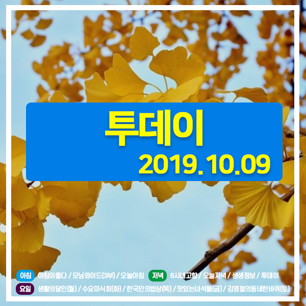 투데이 20191009 (2429) 통영밤바다 은갈치 낚시! 미륵도 (케이블카,루지,전동힐,전동킥보드,선상낚시,멍게비빔밥) / 숯불갈비,왕갈비탕 / 전주객리단길 삼세판갈비 투데이 20191009 (2429) 통영밤바다 은갈치 낚시! 미륵도 (케이블카,루지,전동힐,전동킥보드,선상낚시,멍게비빔밥) / 숯불갈비,왕갈비탕 / 전주객리단길 삼세판갈비