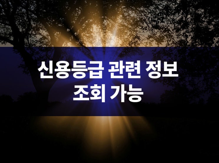 신용등급확인 잘하는 곳 이용해봤어요!