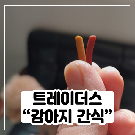 트레이더스에서 강아지 간식 사 와봤어요 트레이더스에서 강아지 간식 사 와봤어요
