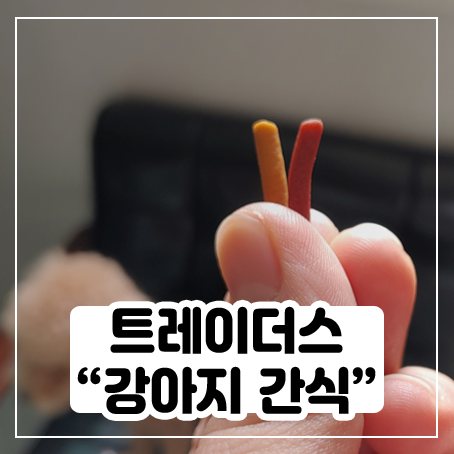 트레이더스에서 강아지 간식 사 와봤어요