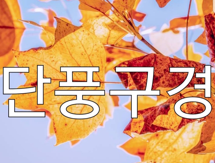  단풍구경 당일코스로 가볼만한곳 어디지?
