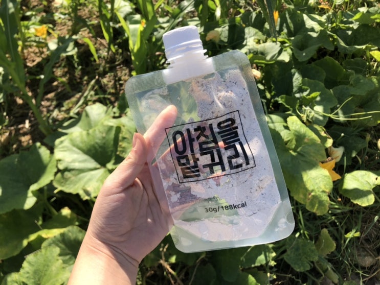  연예인다이어트식단 아침을 맡귀리 :: 간편식으로 먹자!