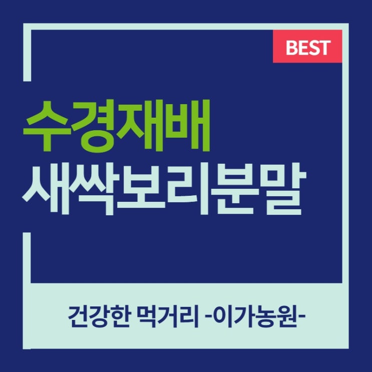  새싹보리분말 효능과 수경재배 보리새싹가루 파는곳
