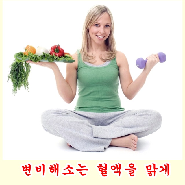  변비는 혈액을 맑게하는 데 있어 최대의적