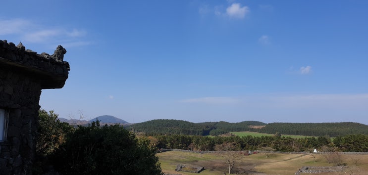  [여행 후기] 가을 제주 여행 가볼 만한 곳 산굼부리 억새 구상나무 산책코스 느린 여행