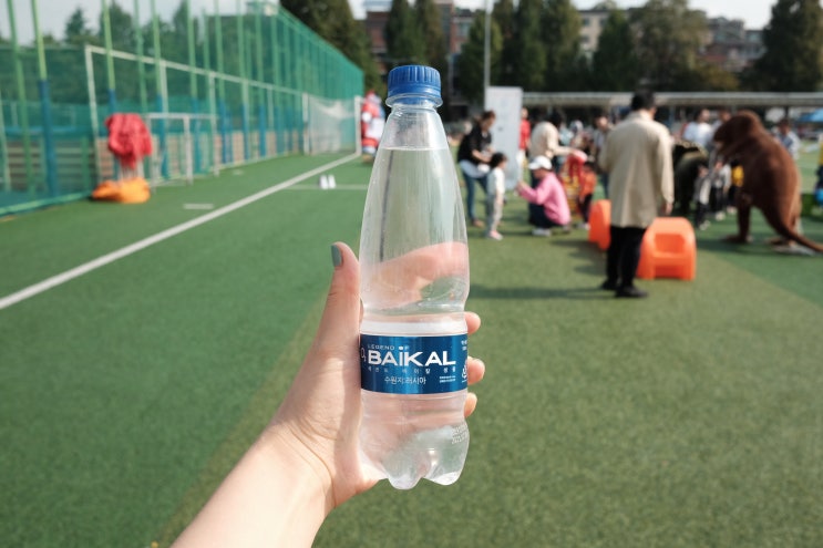  미네랄워터 레전드 바이칼 워터 알카리수 마셔봤어요