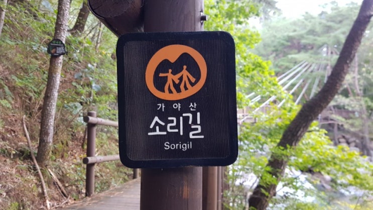  해인사 소리길 다녀왔어요