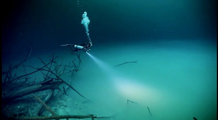  세노테(cenote), 몽환과 어둠의 조화가 이뤄내는 신비로운 생태환경. - “크리세리 머드의 고향, 유카탄 반도”