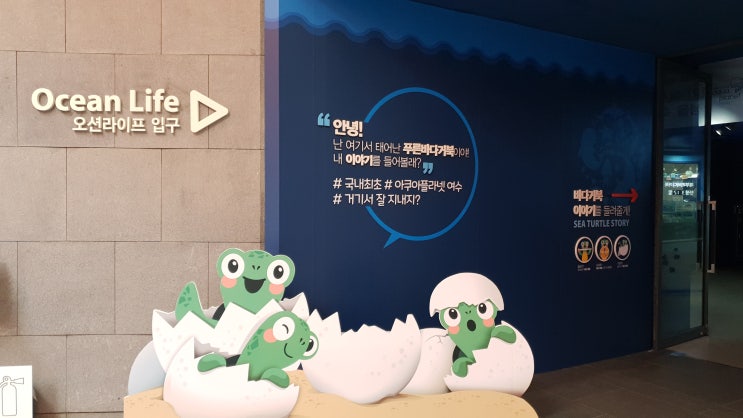  여수여행:) 여수 엑스포 아쿠아플라넷