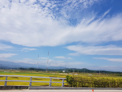  오늘도 바쁜하루네요..ㅜㅜ
