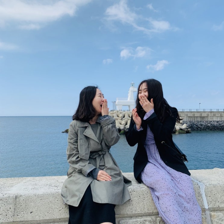  제주도 2박3일 대가족 여행 휠체어 여행기 일정 코스 유채꽃 관광