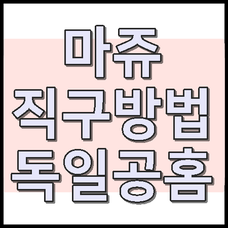 마쥬 직구방법 독일 Maje 털어봅시다